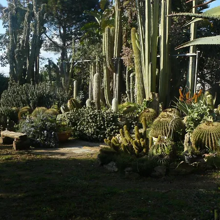 Casa Nella Riserva Naturale Del Belice